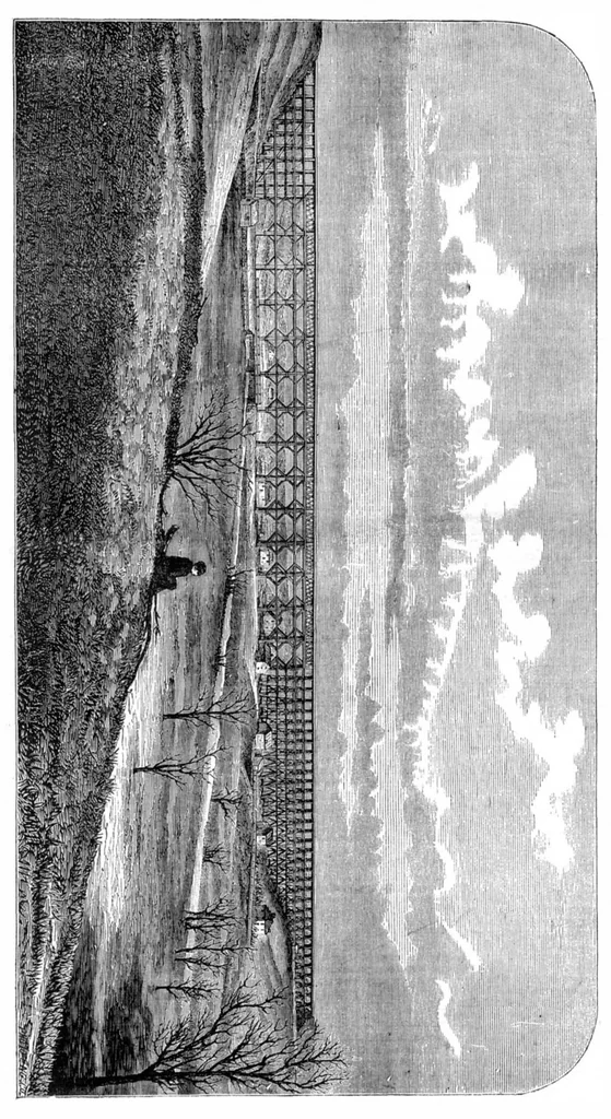 An illustration from Scientific American, Vol. 28, No. 8 (February 1873), 1873, leaf 8