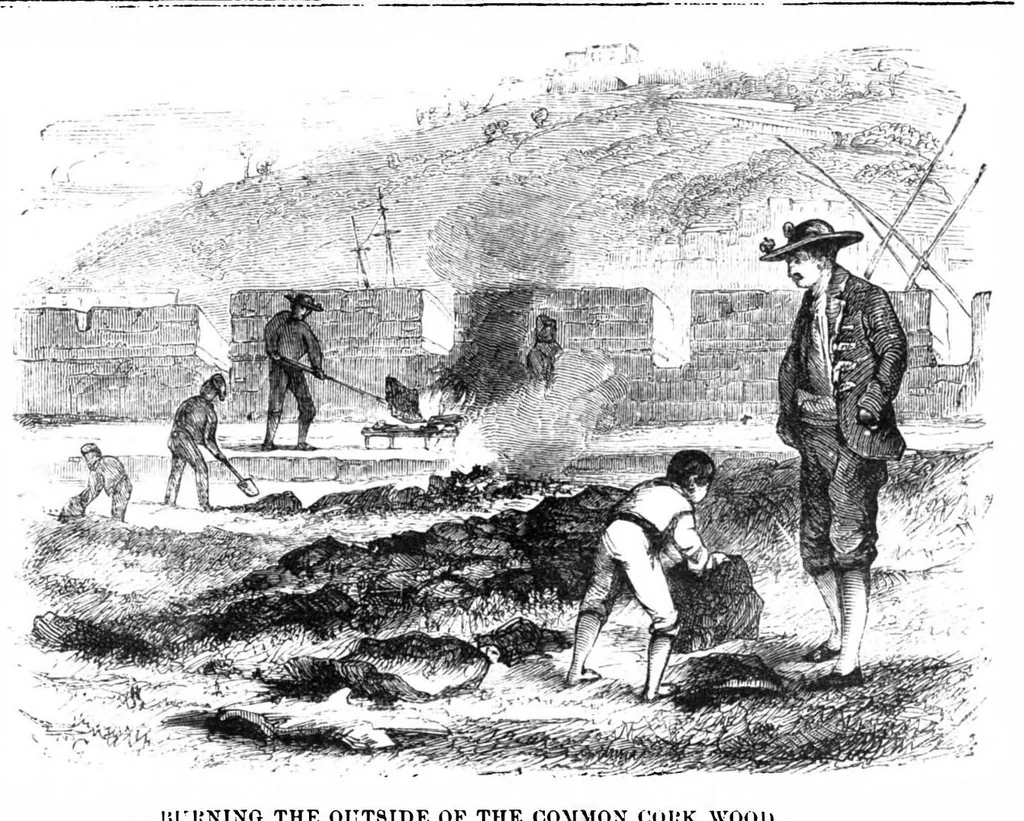 An illustration from Scientific American, Vol. 28, No. 9 (March 1873), 1873, leaf 3