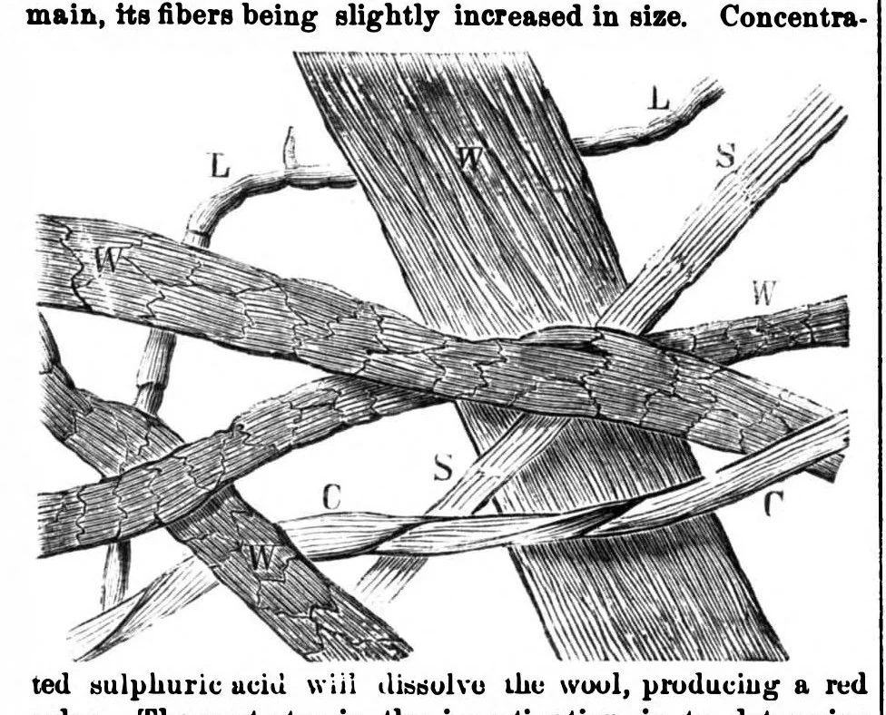 An illustration from Scientific American, Vol. 28, No. 9 (March 1873), 1873, leaf 4