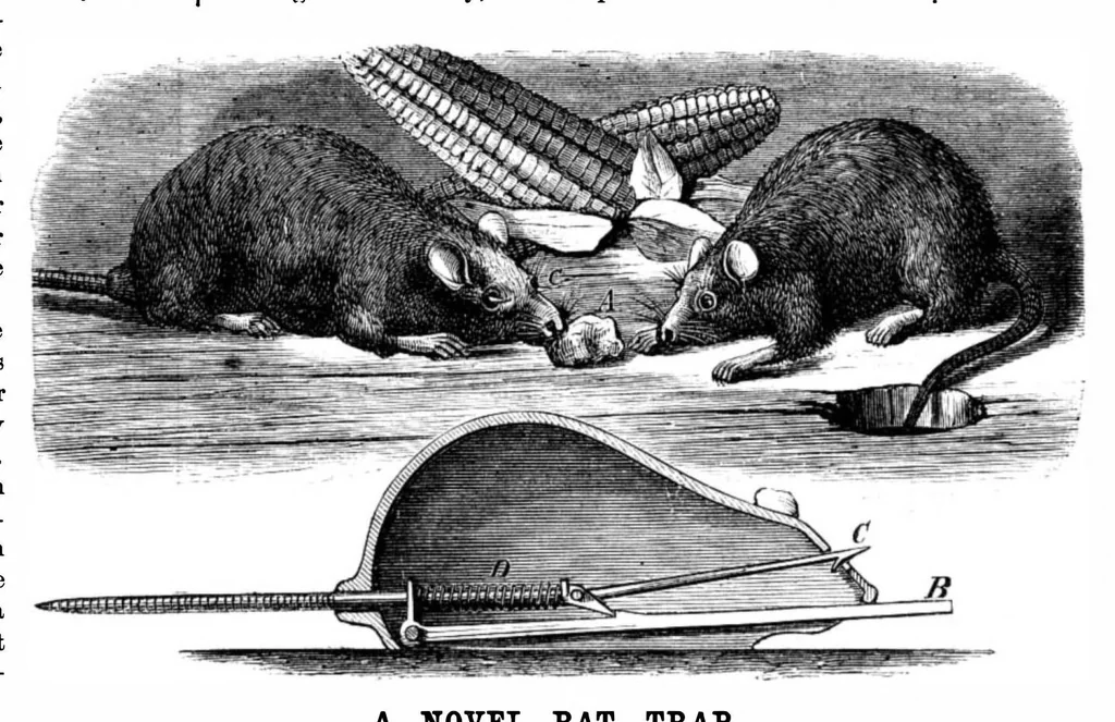 An illustration from Scientific American, Vol. 28, No. 17 (April 1873), 1873, leaf 3
