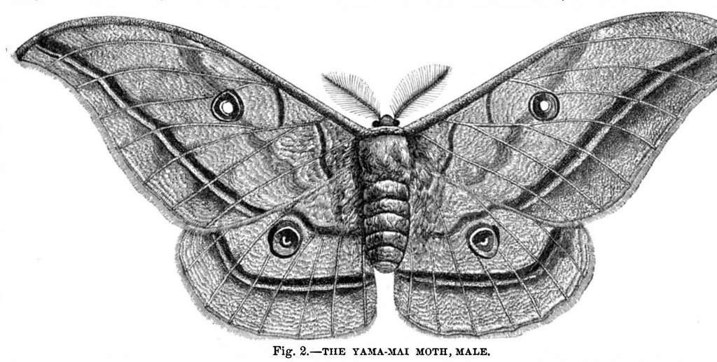 An illustration from Scientific American, Vol. 28, No. 25 (June 1873), 1873, leaf 3