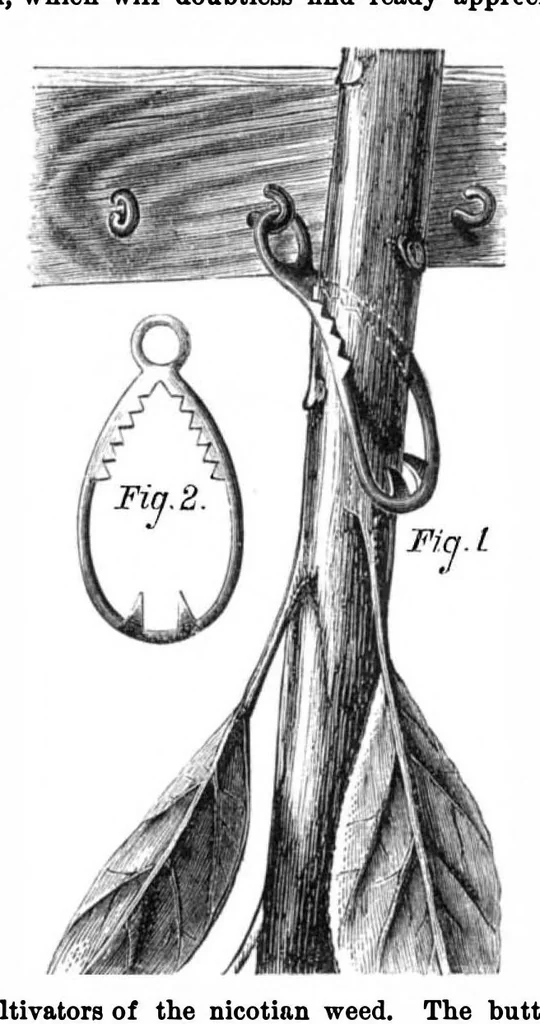 An illustration from Scientific American, Vol. 28, No. 26 (June 1873), 1873, leaf 3