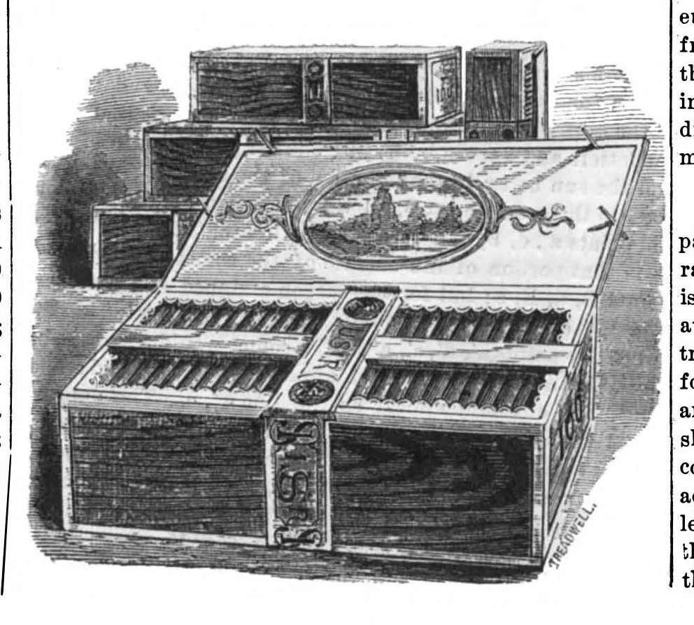 An illustration from Scientific American, Vol. 29, No. 8 (August 1873), 1873, leaf 7