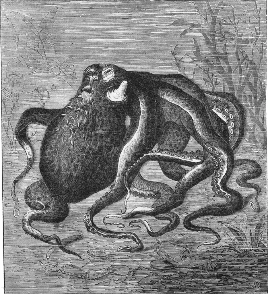 An illustration from Scientific American, Vol. 29, No. 9 (August 1873), 1873, leaf 4