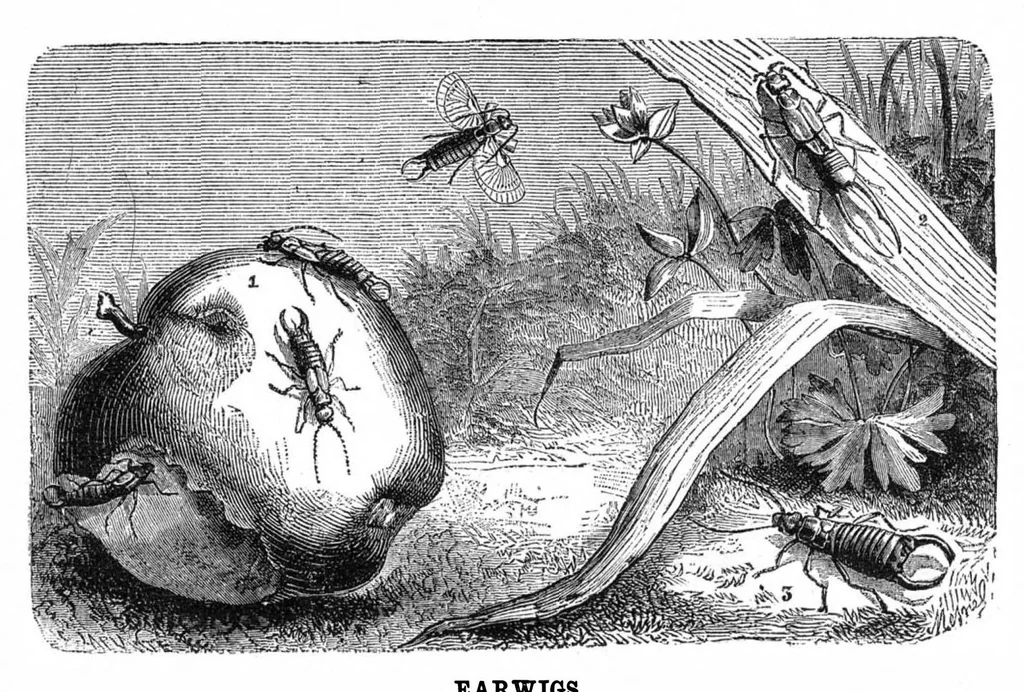 An illustration from Scientific American, Vol. 29, No. 13 (September 1873), 1873, leaf 4