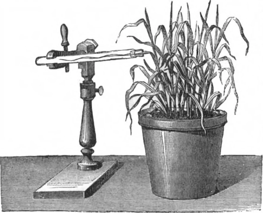 An illustration from Scientific American, Vol. 29, No. 15 (October 1873), 1873, leaf 4