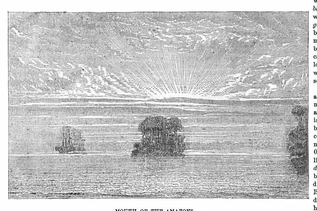 An illustration from Scientific American, Vol. 29, No. 16 (October 1873), 1873, leaf 5