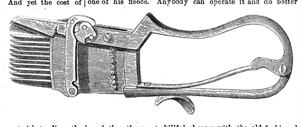 An illustration from Scientific American, Vol. 29, No. 20 (November 1873), 1873, leaf 7