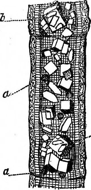 An illustration from Scientific American, Vol. 29, No. 21 (November 1873), 1873, leaf 3