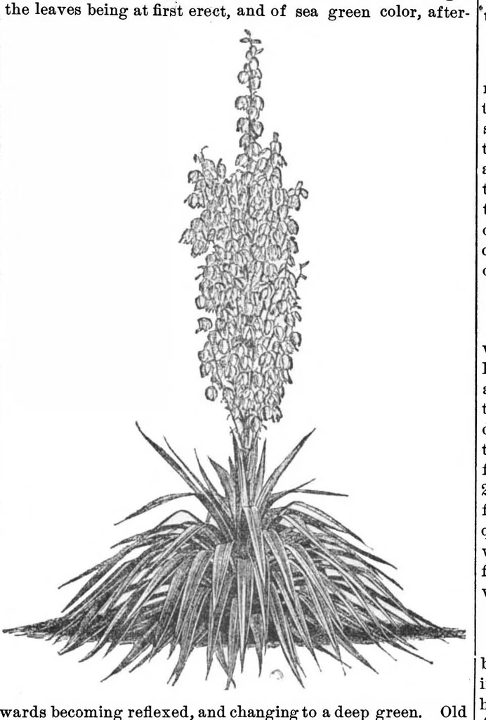 An illustration from Scientific American, Vol. 29, No. 23 (December 1873), 1873, leaf 7