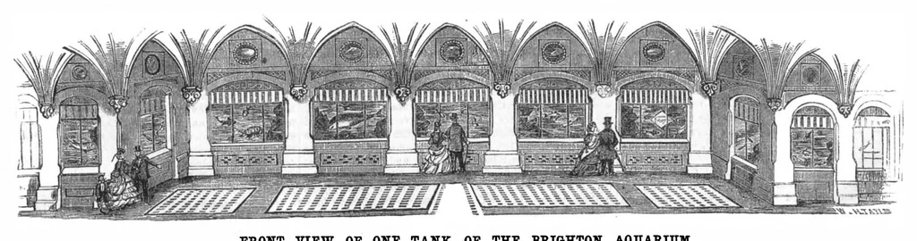 An illustration from Scientific American, Vol. 29, No. 24 (December 1873), 1873, leaf 8