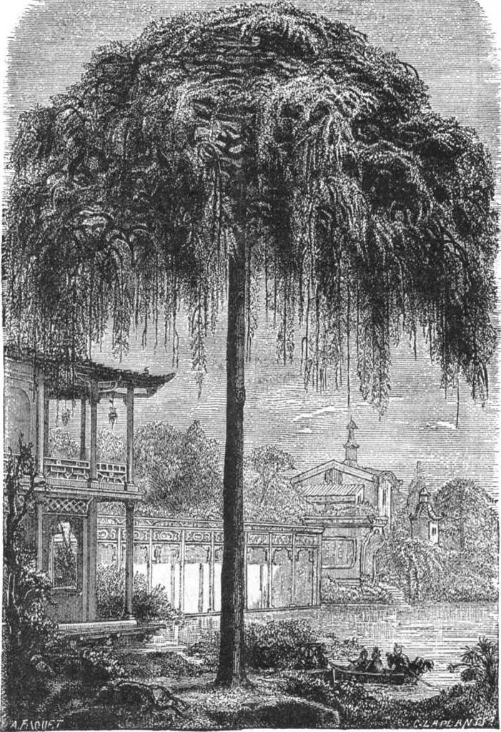 An illustration from Scientific American, Vol. 29, No. 26 (December 1873), 1873, leaf 3