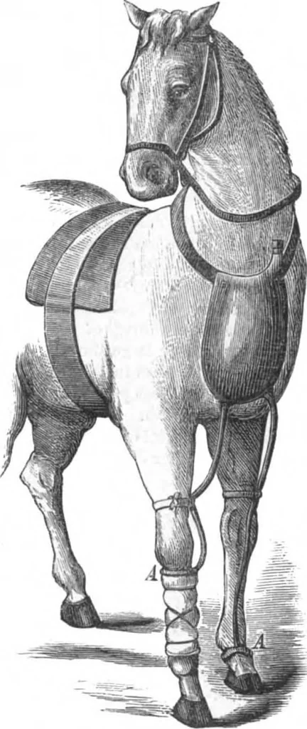 An illustration from Scientific American, Vol. 29, No. 26 (December 1873), 1873, leaf 7