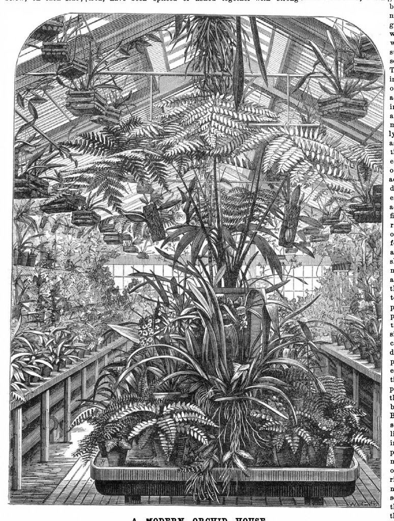 An illustration from Scientific American, Vol. 30, No. 4 (January 1874), 1874, leaf 8