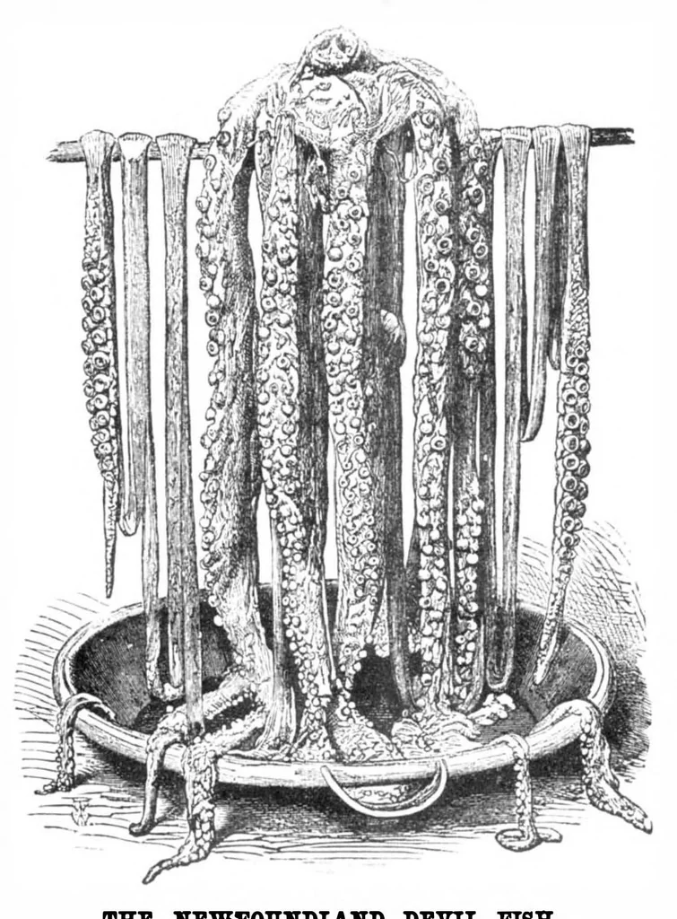 An illustration from Scientific American, Vol. 30, No. 12 (March 1874), 1874, leaf 4