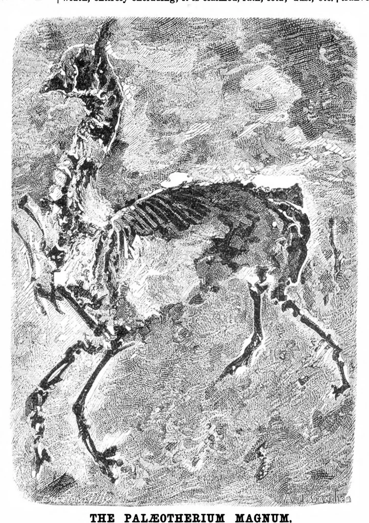 An illustration from Scientific American, Vol. 30, No. 14 (April 1874), 1874, leaf 3