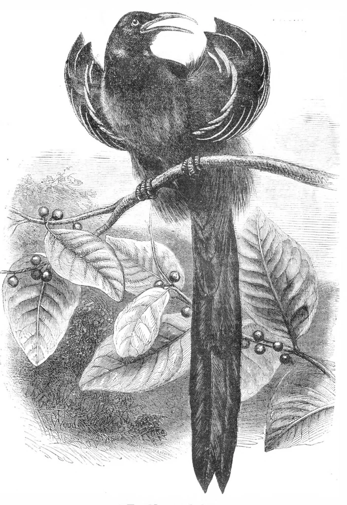 An illustration from Scientific American, Vol. 30, No. 14 (April 1874), 1874, leaf 8