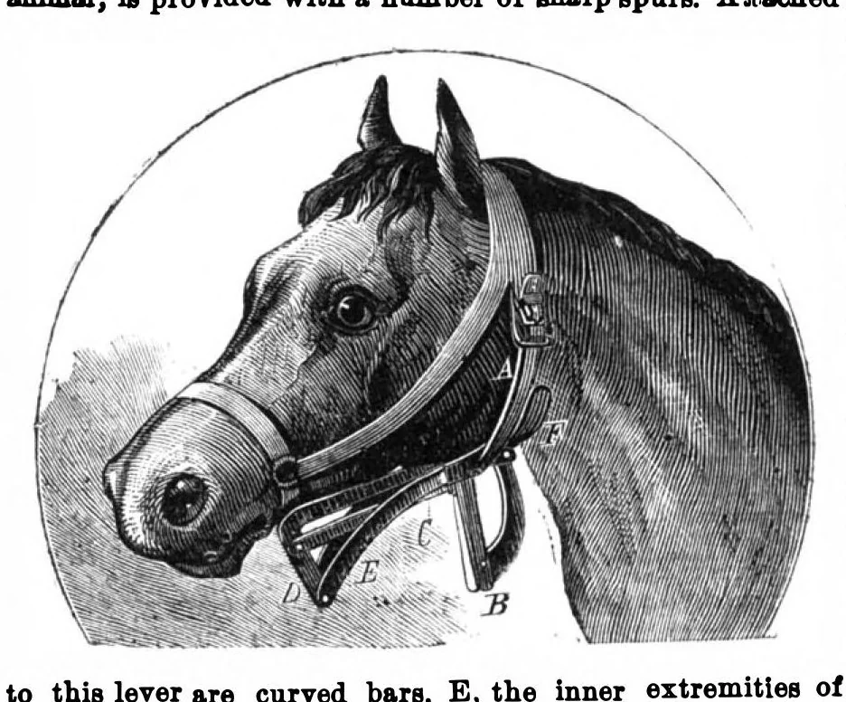 An illustration from Scientific American, Vol. 30, No. 21 (May 1874), 1874, leaf 3