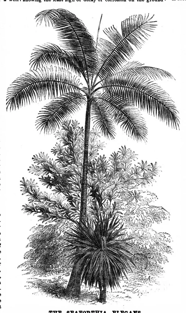 An illustration from Scientific American, Vol. 30, No. 22 (May 1874), 1874, leaf 8