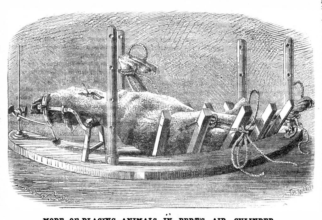 An illustration from Scientific American, Vol. 30, No. 26 (June 1874), 1874, leaf 4