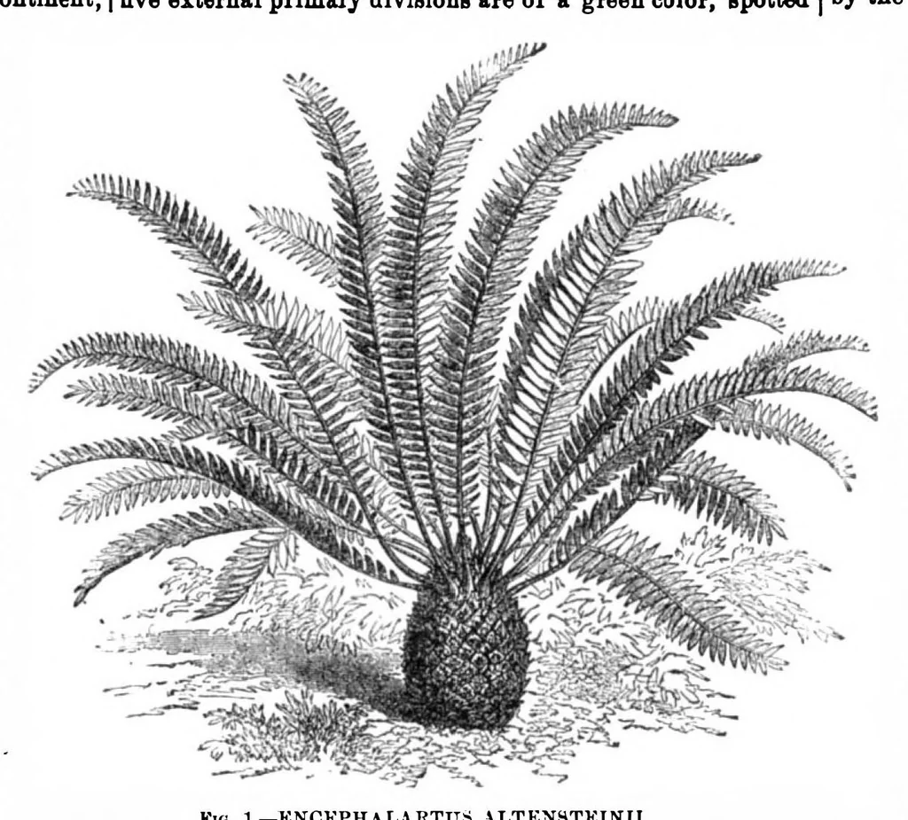 An illustration from Scientific American, Vol. 31, No. 3 (July 1874), 1874, leaf 8