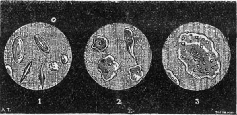 An illustration from Scientific American, Vol. 31, No. 12 (September 1874), 1874, leaf 3