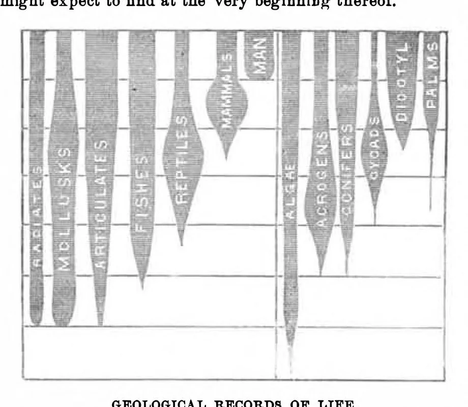 An illustration from Scientific American, Vol. 31, No. 15 (October 1874), 1874, leaf 5