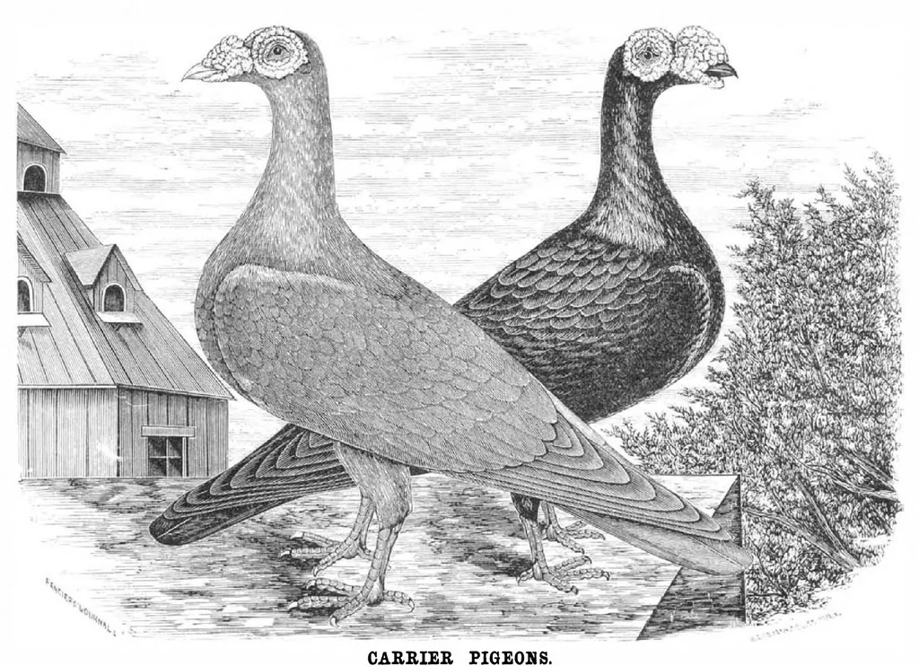 An illustration from Scientific American, Vol. 31, No. 20 (November 1874), 1874, leaf 3