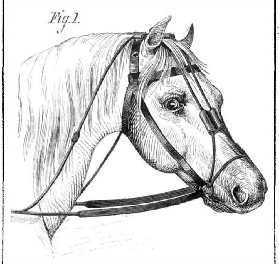 An illustration from Scientific American, Vol. 31, No. 23 (December 1874), 1874, leaf 7
