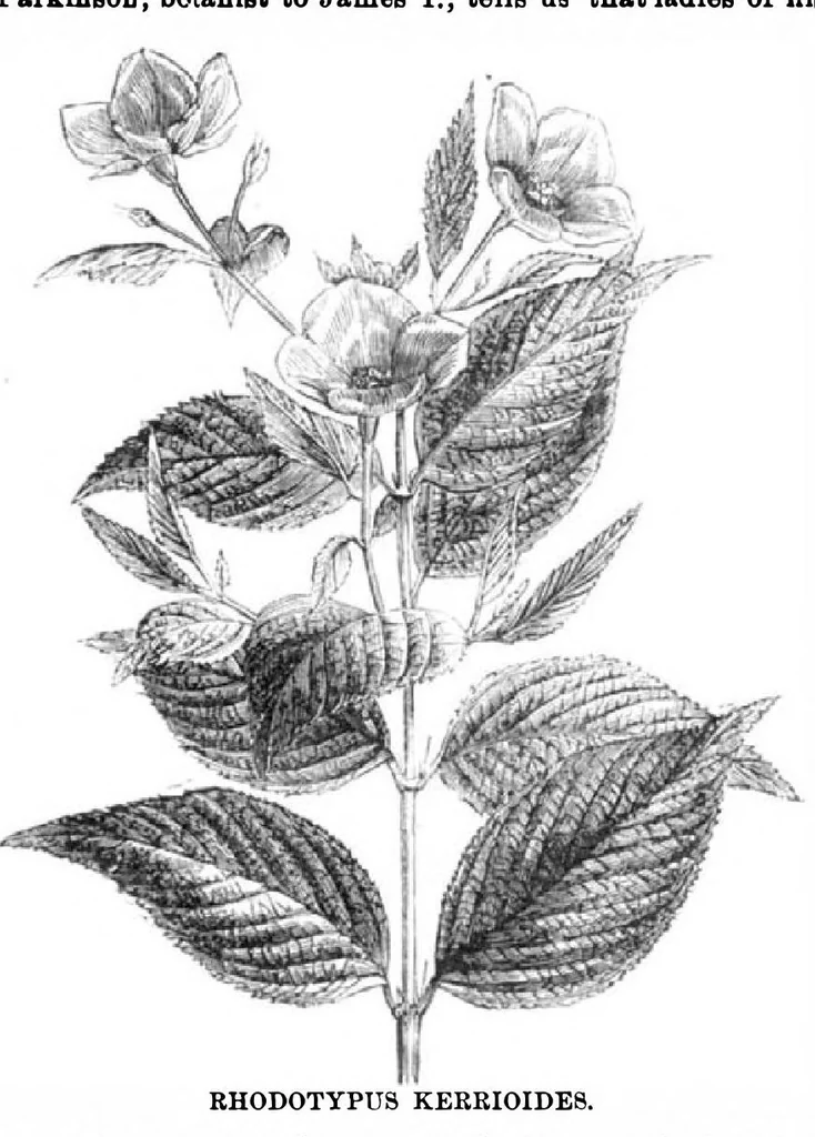 An illustration from Scientific American, Vol. 31, No. 23 (December 1874), 1874, leaf 8