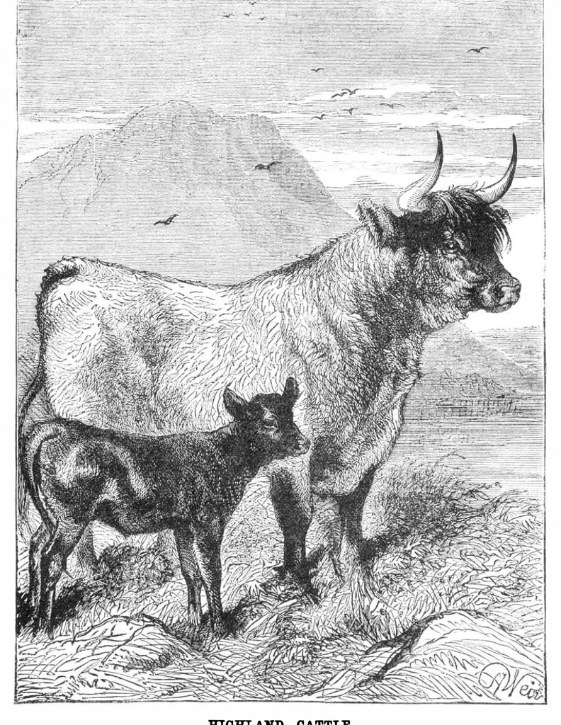 An illustration from Scientific American, Vol. 32, No. 5 (January 1875), 1875, leaf 8