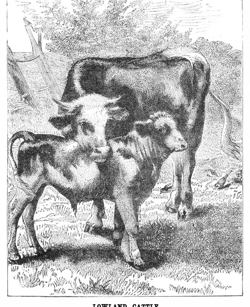 An illustration from Scientific American, Vol. 32, No. 5 (January 1875), 1875, leaf 8