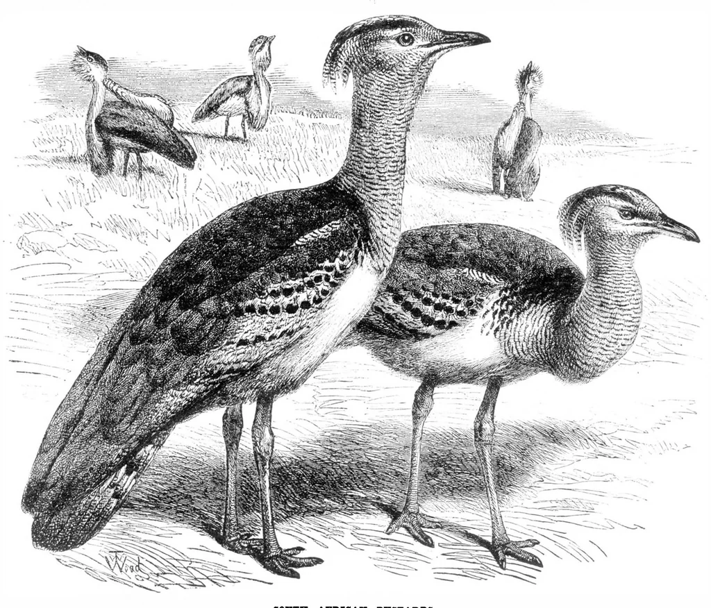 An illustration from Scientific American, Vol. 32, No. 7 (February 1875), 1875, leaf 8