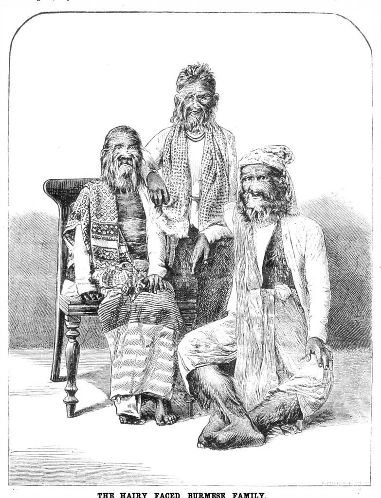 An illustration from Scientific American, Vol. 32, No. 8 (February 1875), 1875, leaf 8