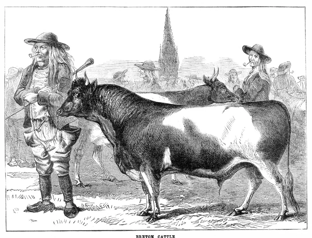 An illustration from Scientific American, Vol. 32, No. 10 (March 1875), 1875, leaf 8