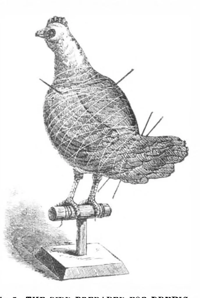 An illustration from Scientific American, Vol. 32, No. 11 (March 1875), 1875, leaf 1