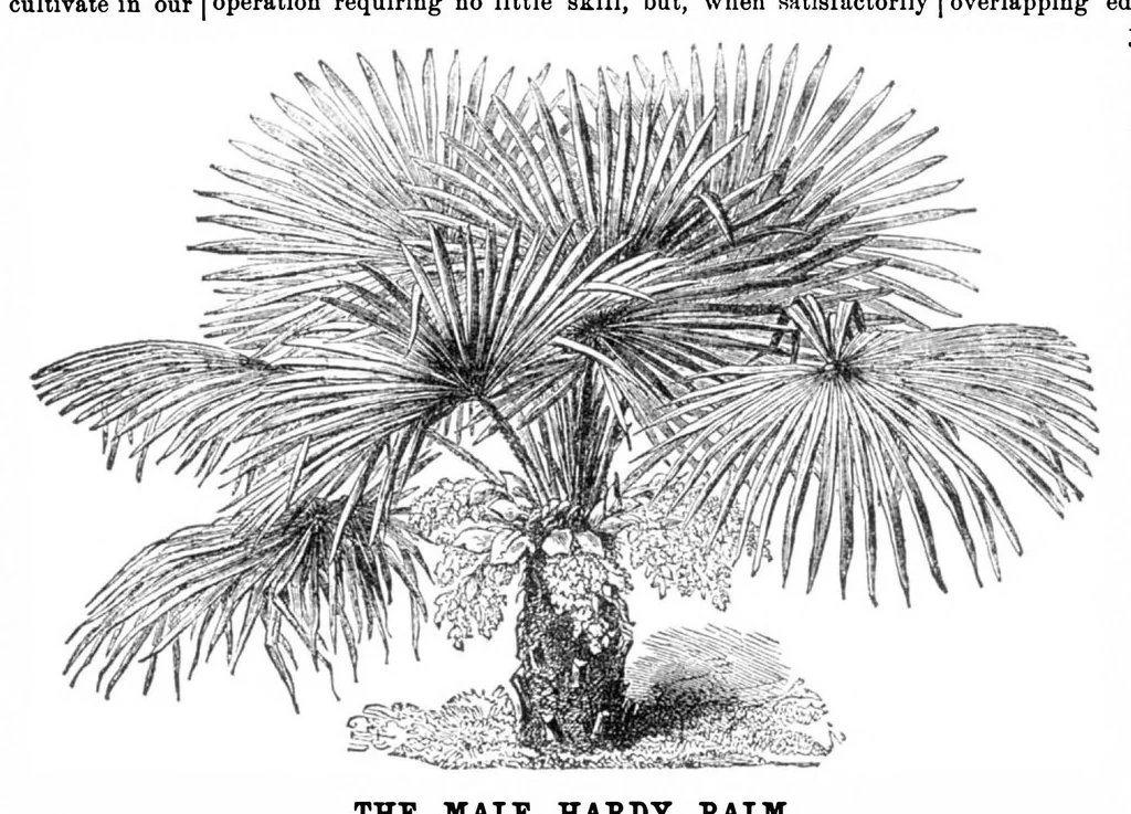 An illustration from Scientific American, Vol. 32, No. 11 (March 1875), 1875, leaf 8