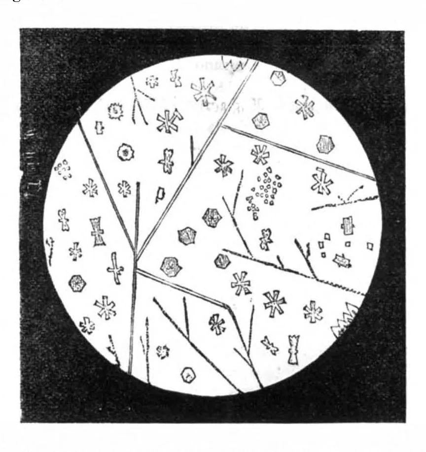 An illustration from Scientific American, Vol. 32, No. 12 (March 1875), 1875, leaf 3