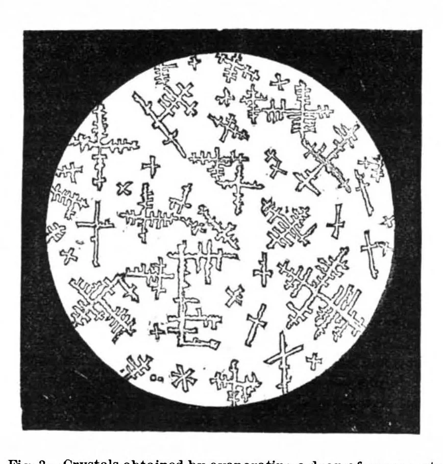 An illustration from Scientific American, Vol. 32, No. 12 (March 1875), 1875, leaf 3