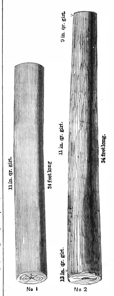 An illustration from Scientific American, Vol. 32, No. 13 (March 1875), 1875, leaf 3