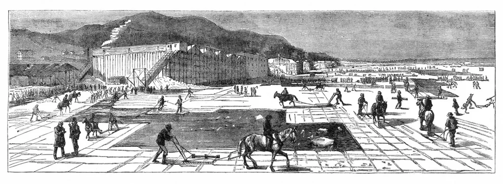 An illustration from Scientific American, Vol. 32, No. 13 (March 1875), 1875, leaf 4