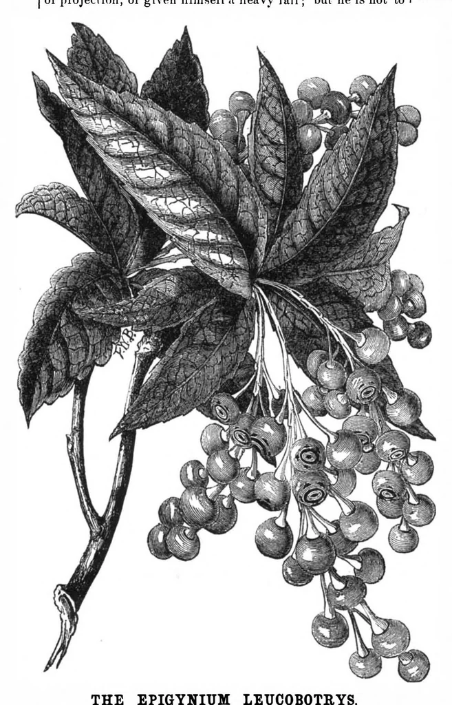 An illustration from Scientific American, Vol. 32, No. 13 (March 1875), 1875, leaf 8