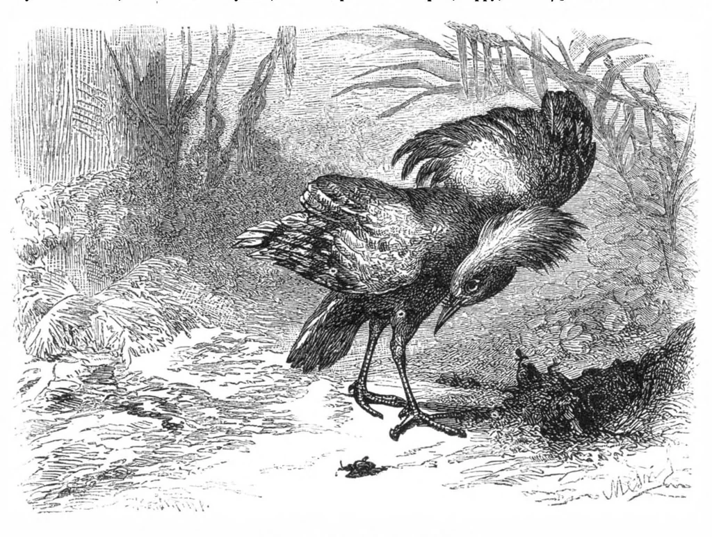 An illustration from Scientific American, Vol. 32, No. 16 (April 1875), 1875, leaf 8
