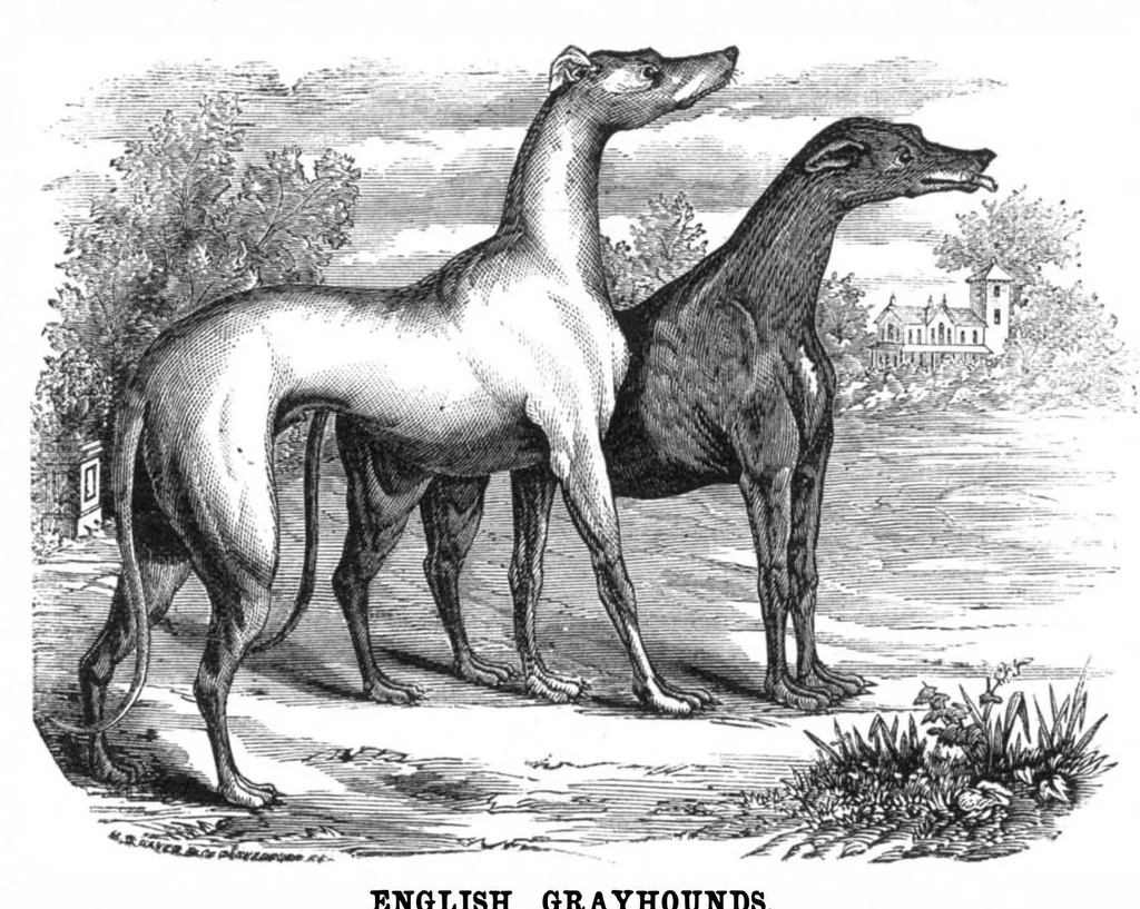 An illustration from Scientific American, Vol. 32, No. 16 (April 1875), 1875, leaf 8