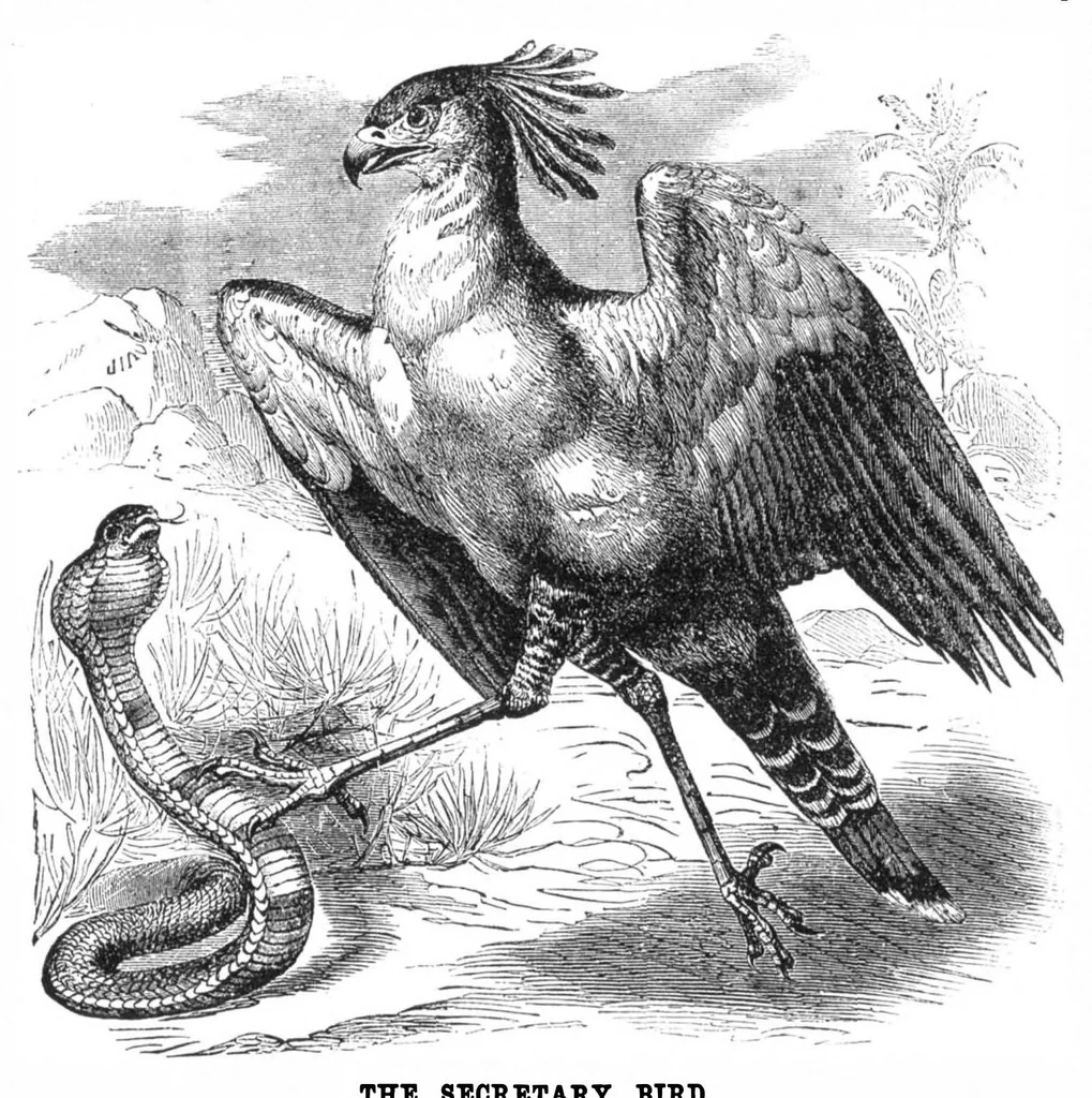 An illustration from Scientific American, Vol. 32, No. 17 (April 1875), 1875, leaf 8