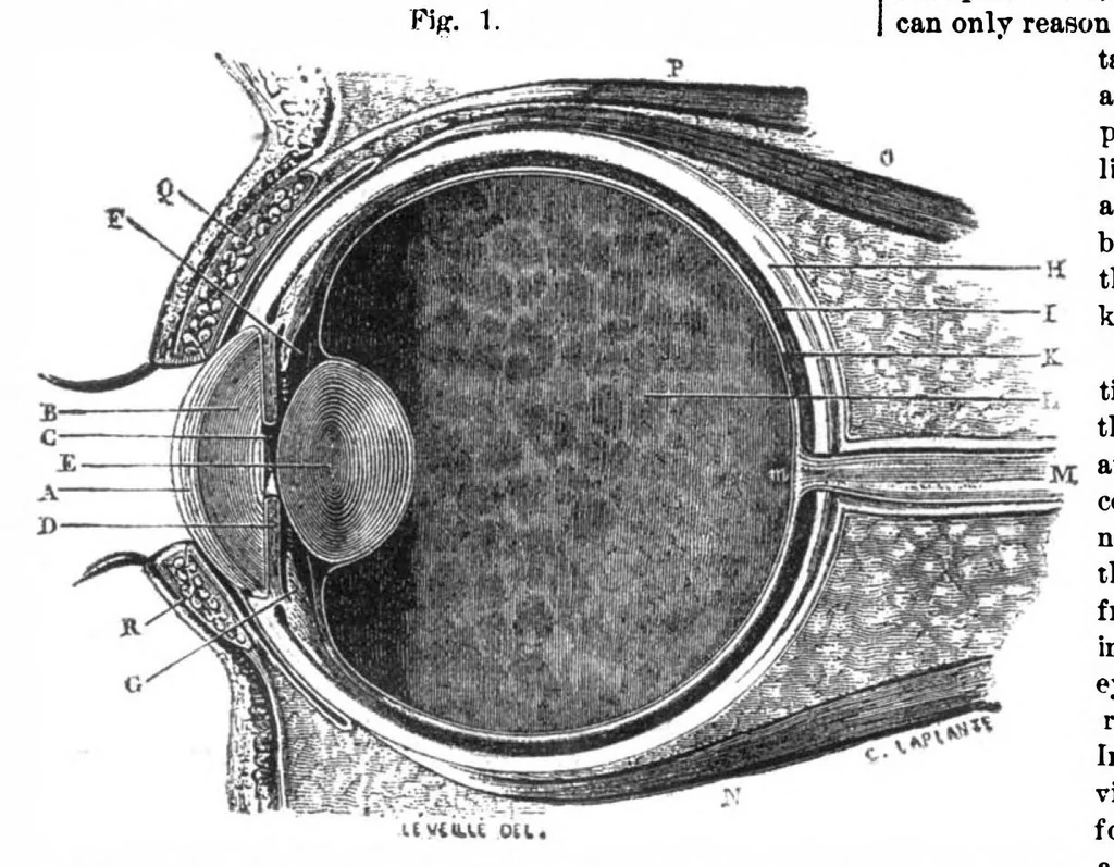 An illustration from Scientific American, Vol. 32, No. 17 (April 1875), 1875, leaf 9