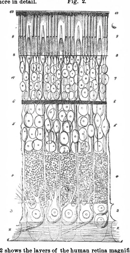 An illustration from Scientific American, Vol. 32, No. 17 (April 1875), 1875, leaf 9