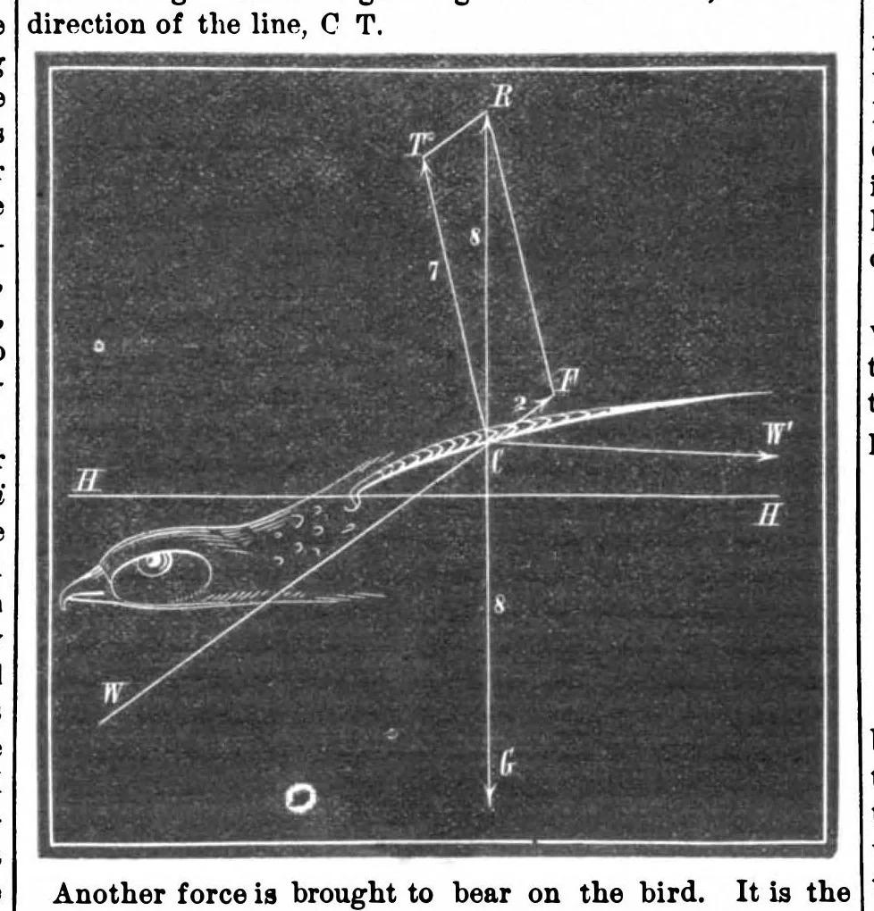 An illustration from Scientific American, Vol. 32, No. 19 (May 1875), 1875, leaf 5