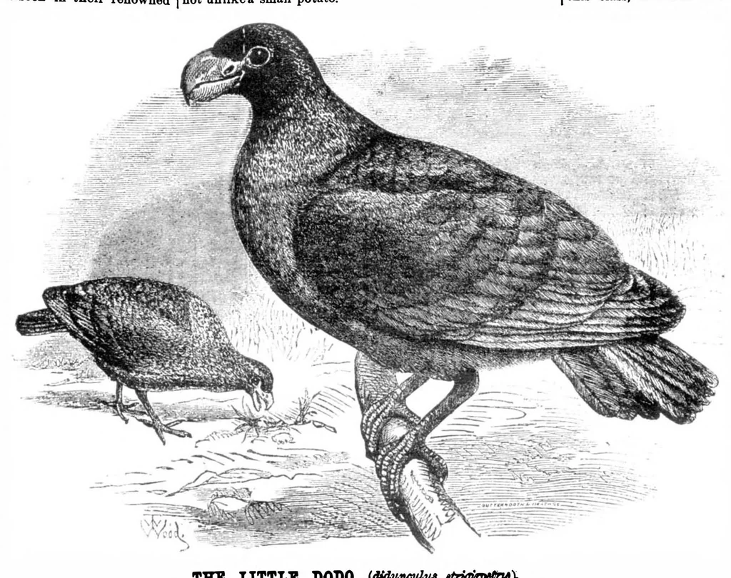 An illustration from Scientific American, Vol. 32, No. 20 (May 1875), 1875, leaf 8