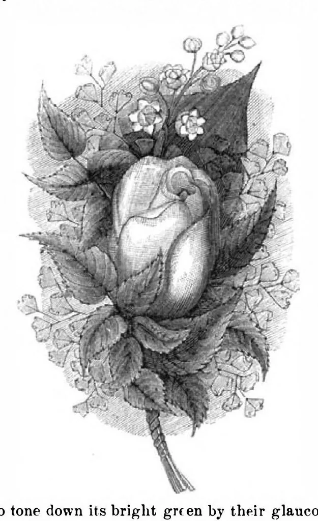 An illustration from Scientific American, Vol. 32, No. 22 (May 1875), 1875, leaf 8